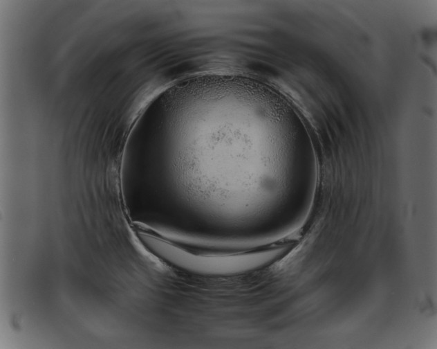 X0000093441433200710121324