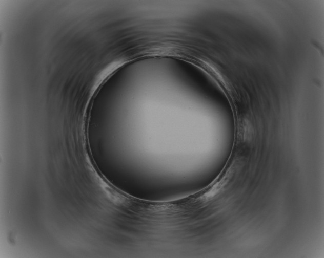 X0000093441434200710121324