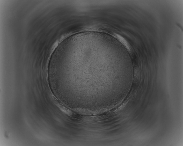 X0000093441435200710121324