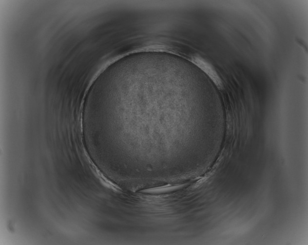 X0000093441436200710121324