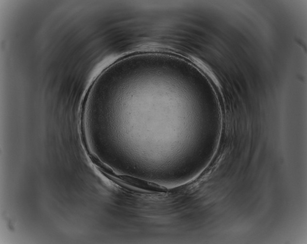X0000093441437200710121324