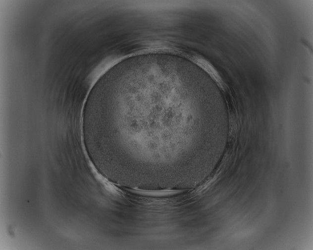 X0000093441439200710121324