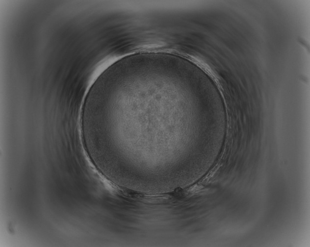X0000093441440200710121324