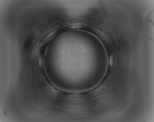 X0000093441444200710121323