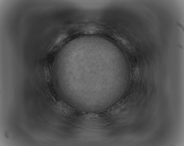 X0000093441446200710121323