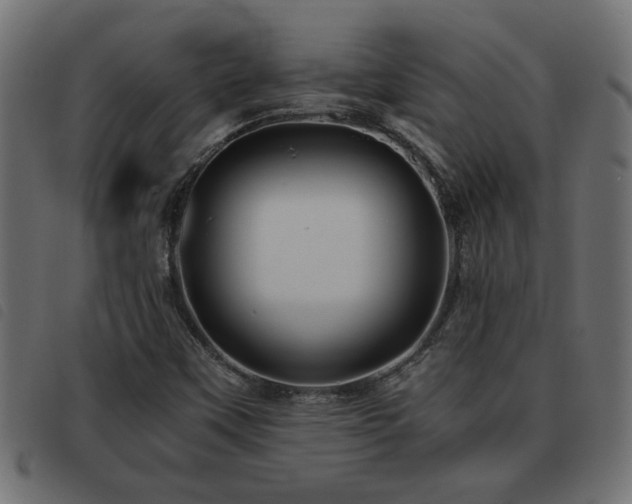X0000093441451200710121323