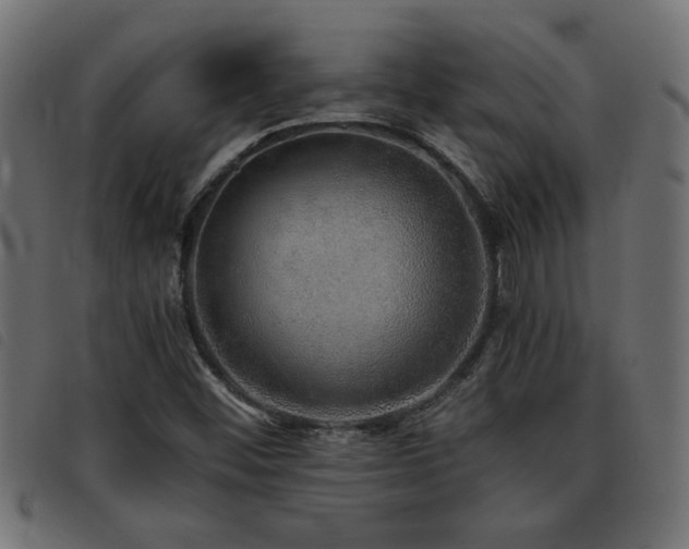 X0000093441452200710121323