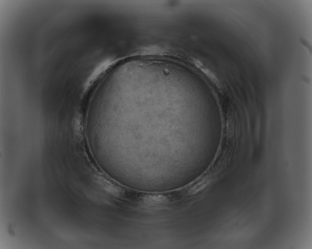 X0000093441454200710121323