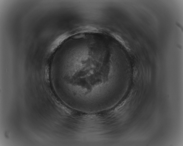 X0000093441455200710121323