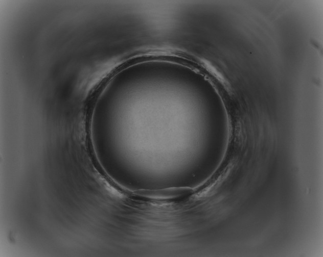 X0000093441456200710121323