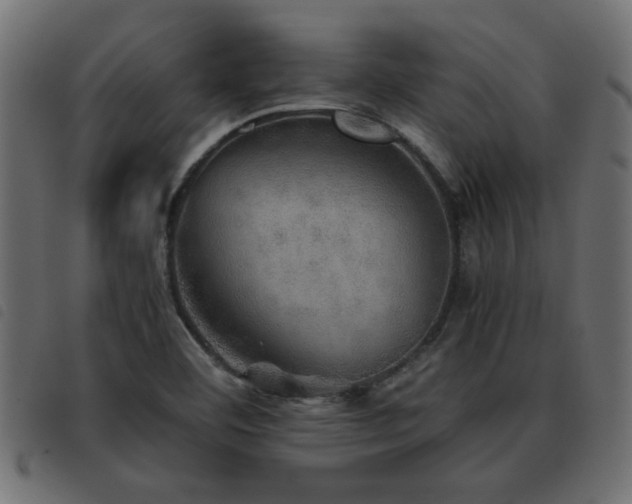 X0000093441460200710121323