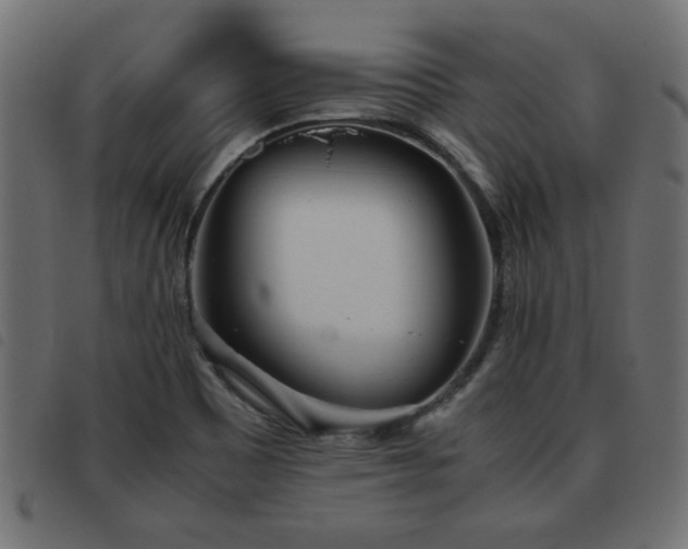 X0000093441465200710121323
