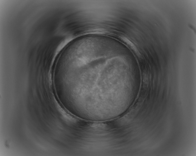 X0000093441466200710121323