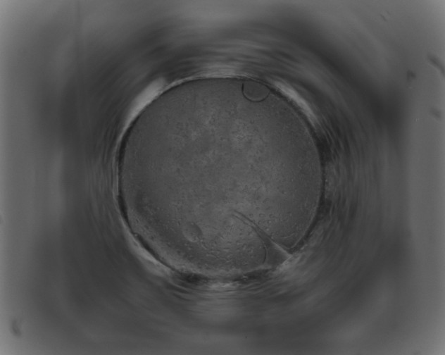 X0000093441467200710121323
