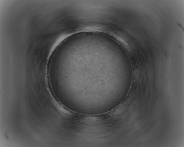 X0000093441470200710121323