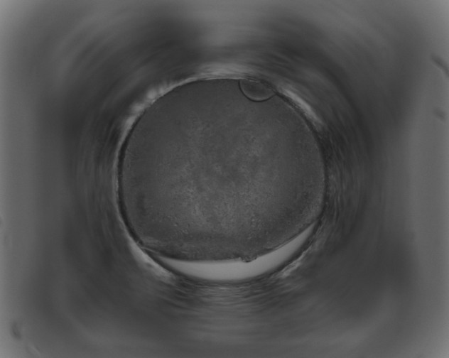 X0000093441471200710121323