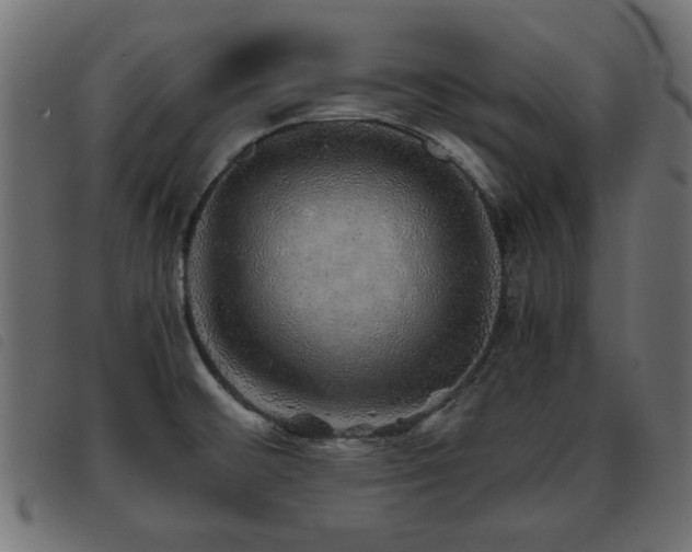 X0000093441476200710121323