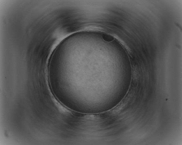 X0000093441478200710121322