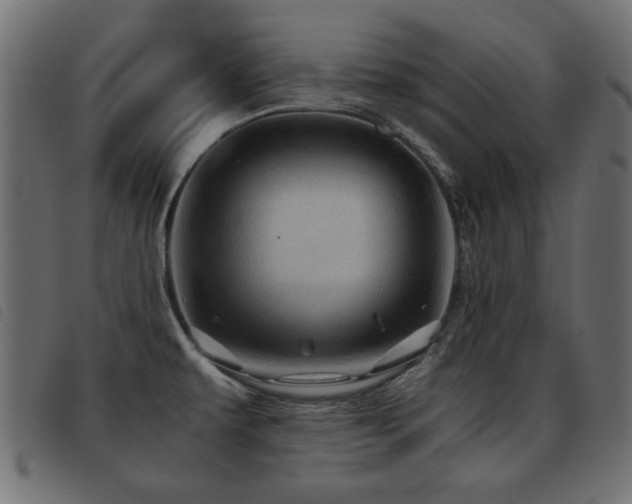 X0000093441479200710121322