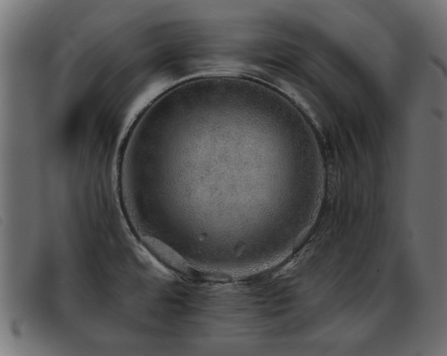 X0000093441480200710121322