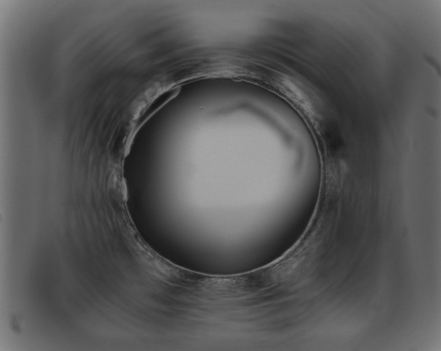 X0000093441481200710121322
