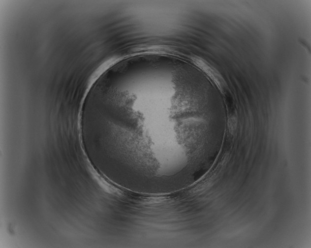 X0000093441482200710121322