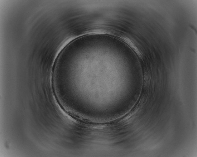 X0000093441484200710121322