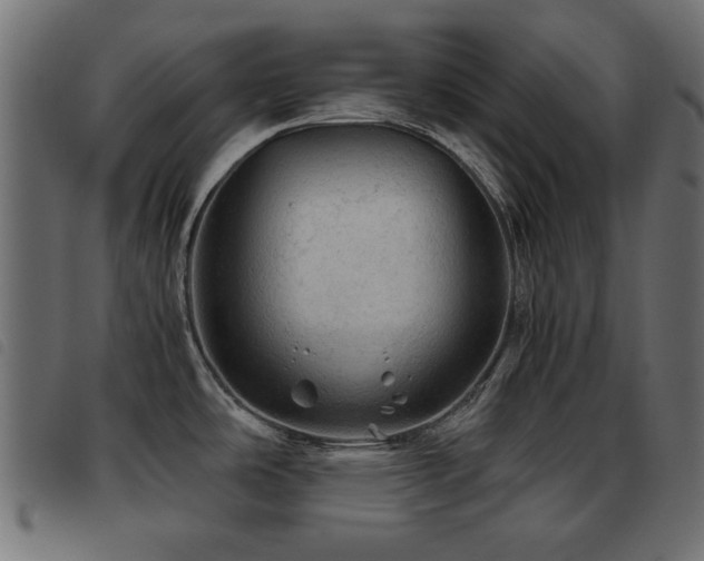 X0000093441486200710121322