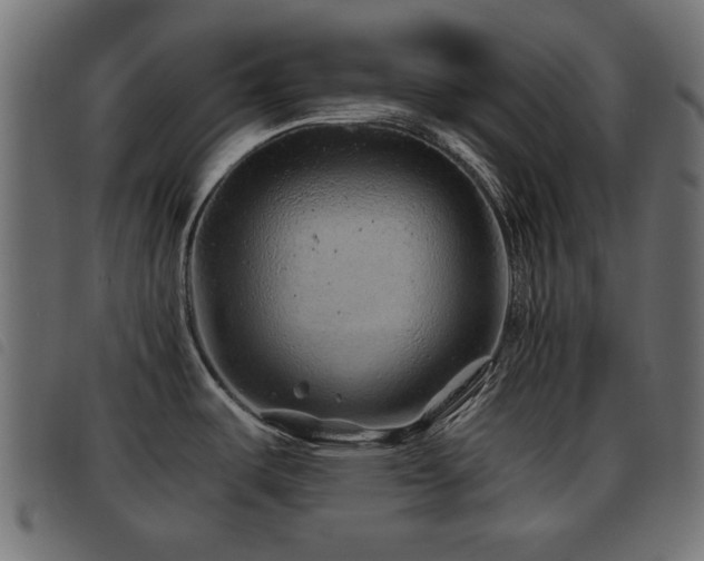 X0000093441487200710121322
