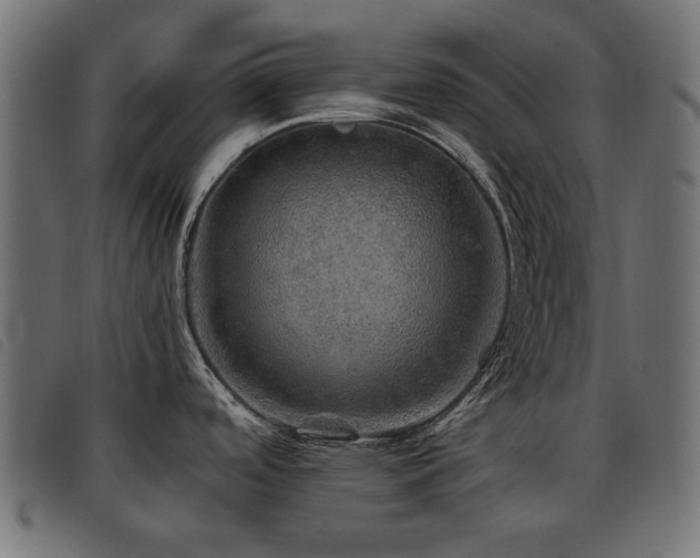 X0000093441488200710121322