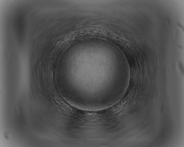 X0000093441489200710121322