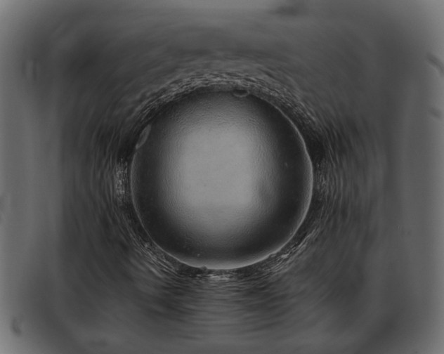 X0000093441490200710121322