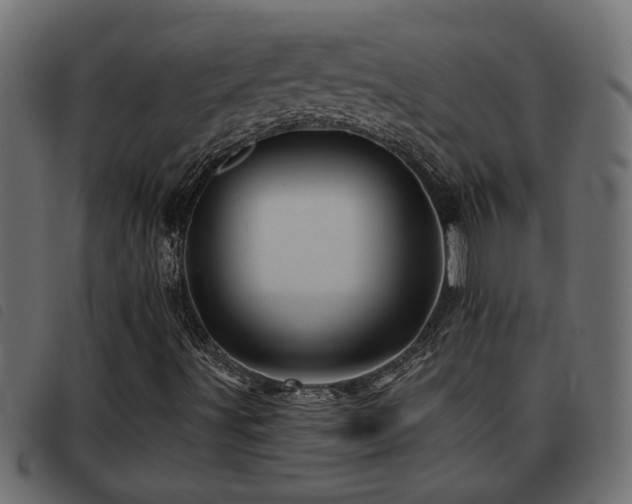 X0000093441491200710121322