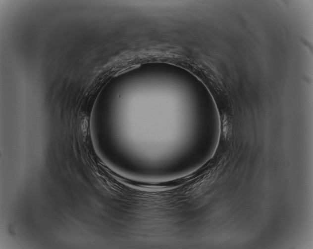 X0000093441492200710121322