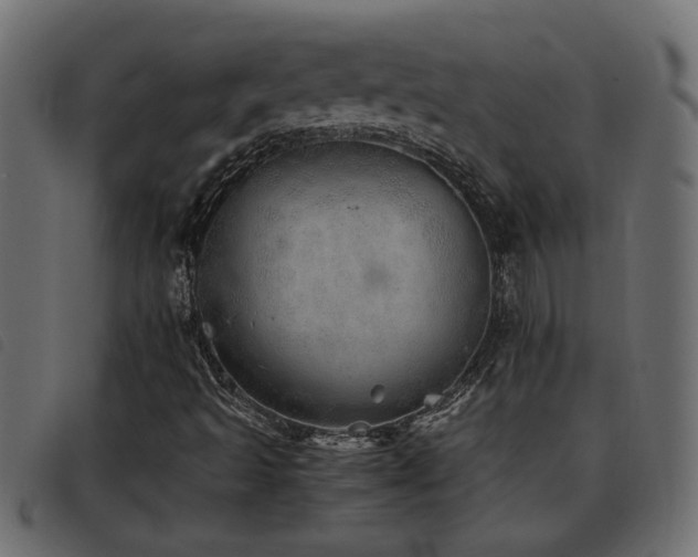 X0000093441493200710121322