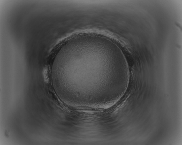 X0000093441494200710121322