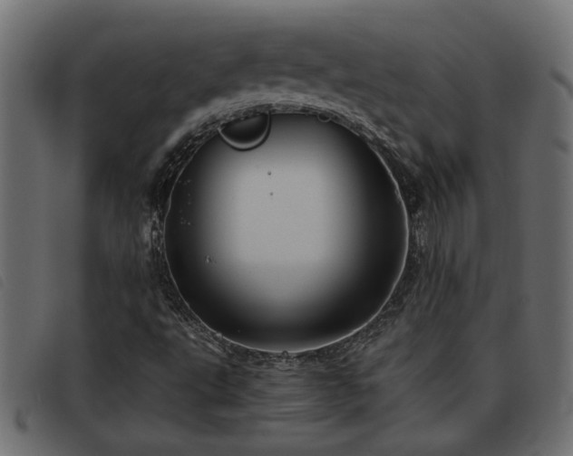 X0000093441495200710121322