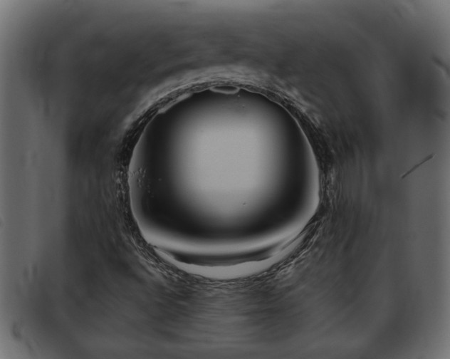 X0000093441496200710121322