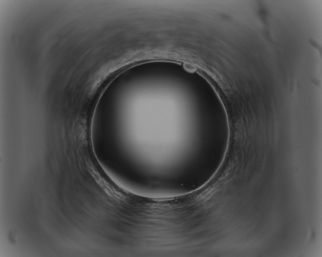 X0000093441499200710121322
