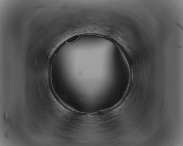 X0000093441500200710121322