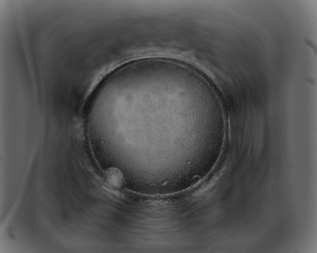 X0000093441501200710121322