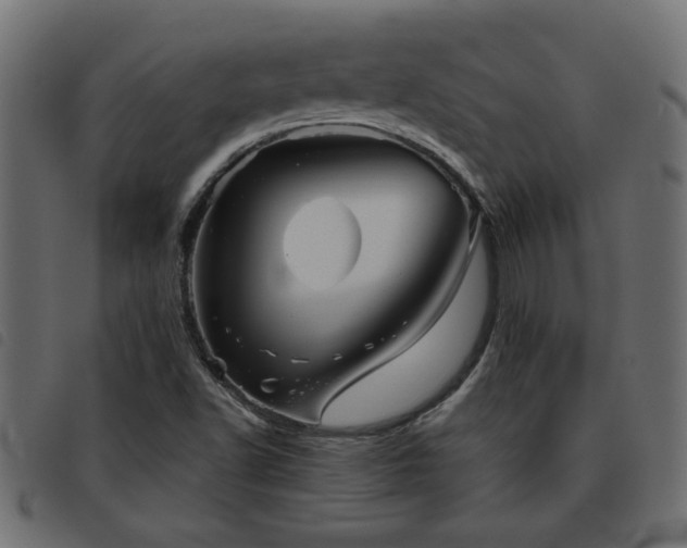 X0000093441502200710121322