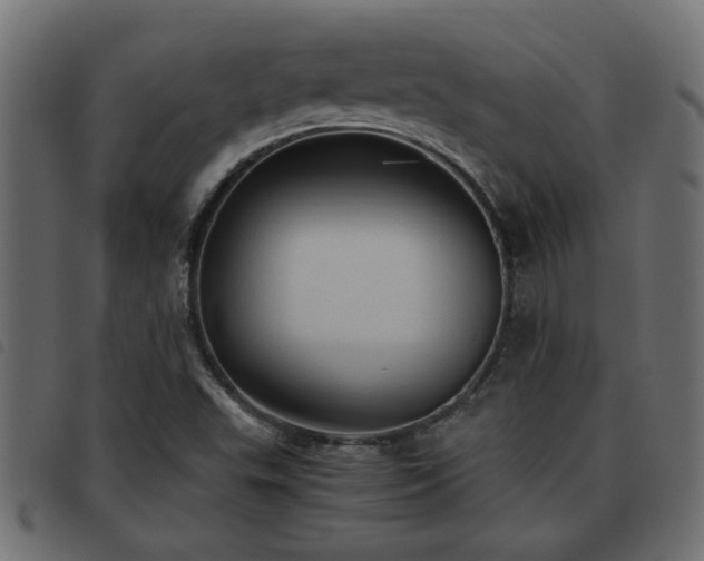 X0000093441503200710121322