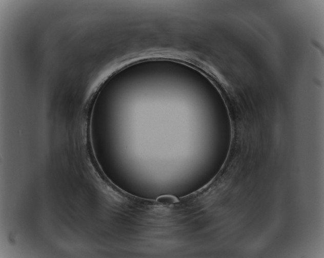 X0000093441504200710121322