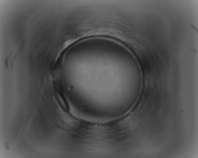 X0000093441505200710121322