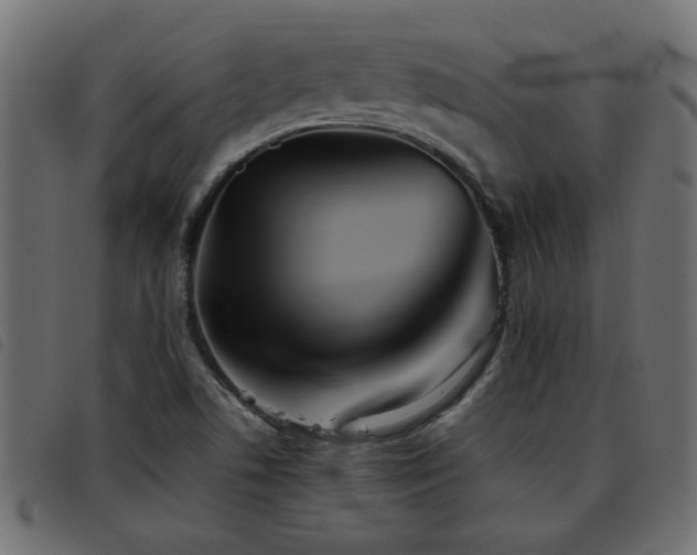 X0000093441506200710121322
