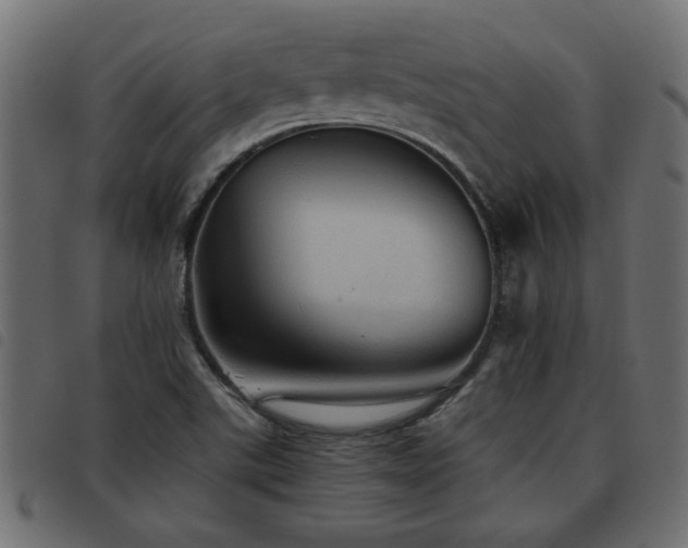 X0000093441507200710121322