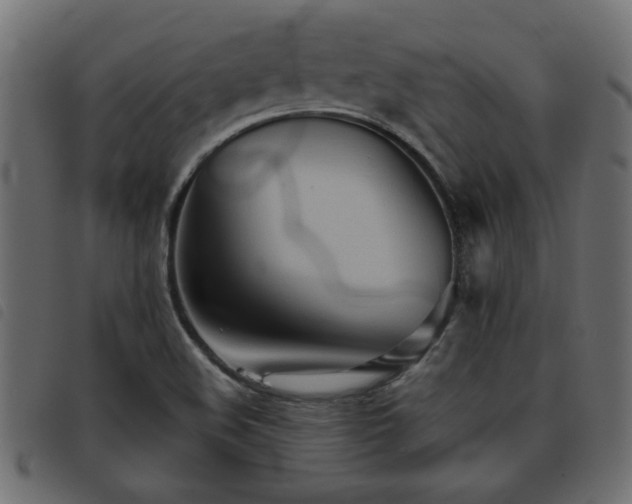 X0000093441508200710121322