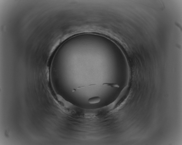 X0000093441509200710121322