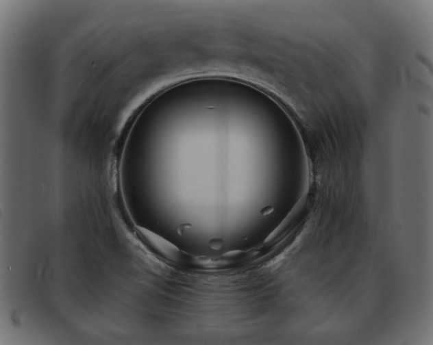 X0000093441510200710121322